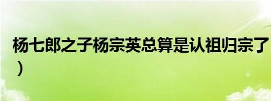 杨七郎之子杨宗英总算是认祖归宗了（杨七郎）