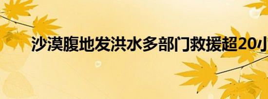 沙漠腹地发洪水多部门救援超20小时