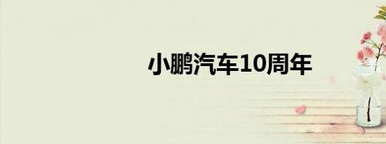 小鹏汽车10周年