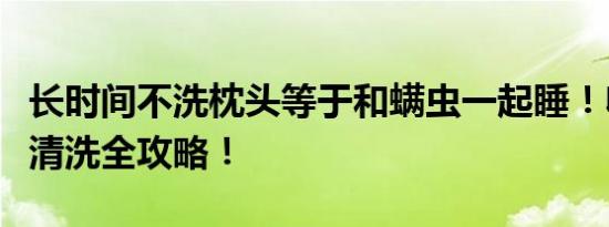 长时间不洗枕头等于和螨虫一起睡！收好枕芯清洗全攻略！