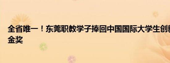 全省唯一！东莞职教学子捧回中国国际大学生创新大赛省赛金奖