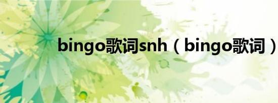 bingo歌词snh（bingo歌词）