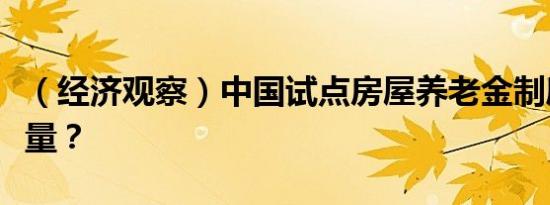 （经济观察）中国试点房屋养老金制度有何考量？