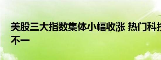 美股三大指数集体小幅收涨 热门科技股涨跌不一