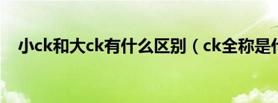 小ck和大ck有什么区别（ck全称是什么）