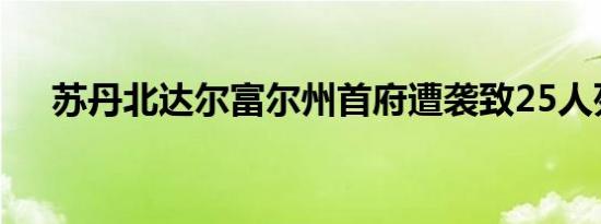 苏丹北达尔富尔州首府遭袭致25人死亡