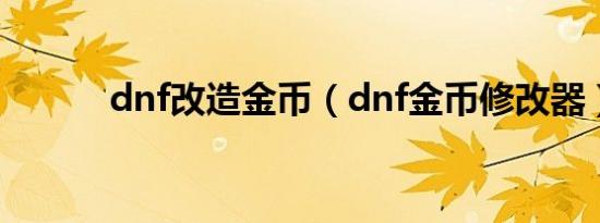 dnf改造金币（dnf金币修改器）