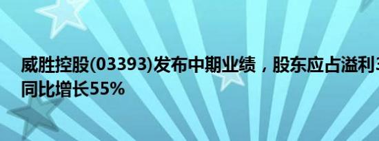 威胜控股(03393)发布中期业绩，股东应占溢利3.31亿元，同比增长55%