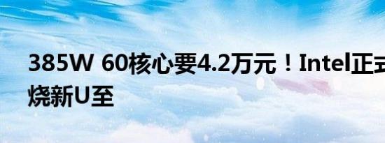 385W 60核心要4.2万元！Intel正式发布发烧新U至