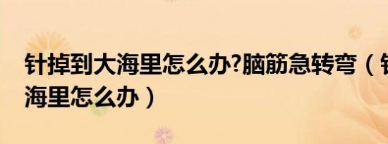 针掉到大海里怎么办?脑筋急转弯（针掉到大海里怎么办）