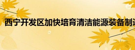 西宁开发区加快培育清洁能源装备制造产业