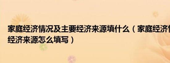 家庭经济情况及主要经济来源填什么（家庭经济情况及主要经济来源怎么填写）