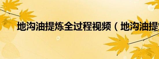 地沟油提炼全过程视频（地沟油提炼）