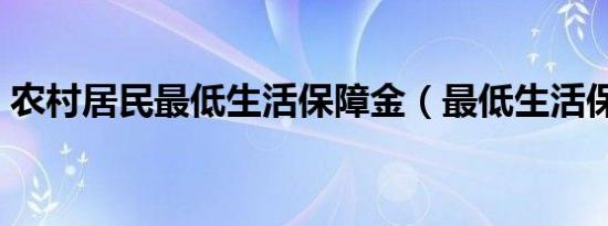 农村居民最低生活保障金（最低生活保障金）