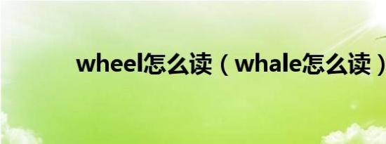 wheel怎么读（whale怎么读）