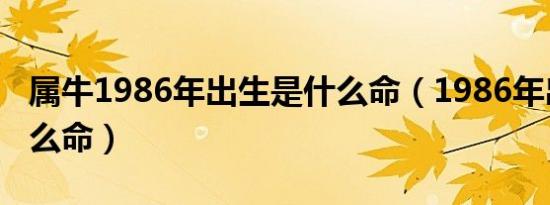 属牛1986年出生是什么命（1986年出生是什么命）