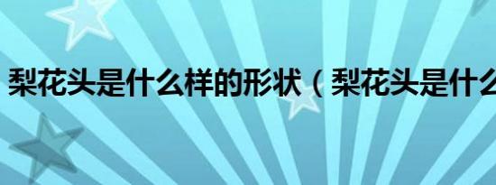 梨花头是什么样的形状（梨花头是什么样的）