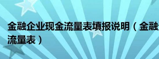 金融企业现金流量表填报说明（金融企业现金流量表）