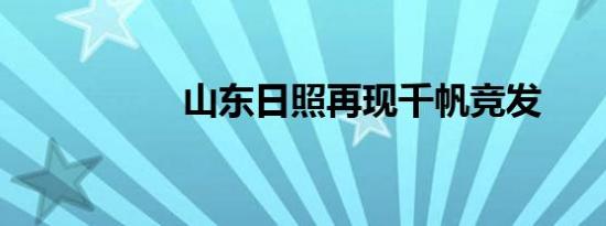 山东日照再现千帆竞发