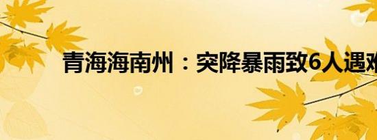 青海海南州：突降暴雨致6人遇难