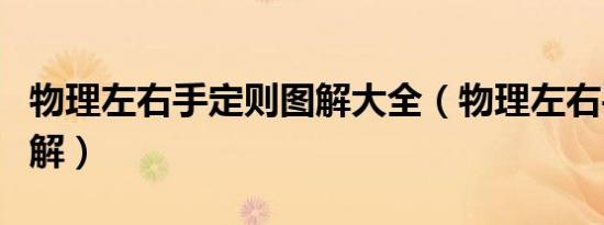 物理左右手定则图解大全（物理左右手定则图解）