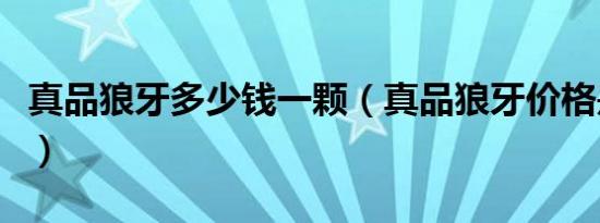 真品狼牙多少钱一颗（真品狼牙价格是多少钱）