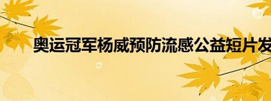 奥运冠军杨威预防流感公益短片发布