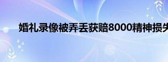 婚礼录像被弄丢获赔8000精神损失费