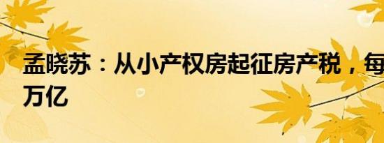 孟晓苏：从小产权房起征房产税，每年能收2万亿