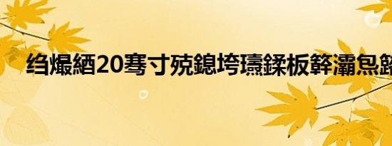 绉熶綇20骞寸殑鎴垮瓙鍒板簳灞炰簬璋?,