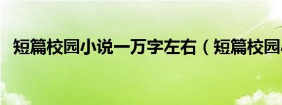 短篇校园小说一万字左右（短篇校园小说）