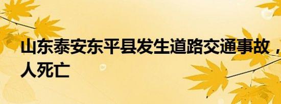 山东泰安东平县发生道路交通事故，已致11人死亡