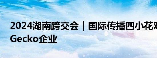 2024湖南跨交会｜国际传播四小花对话南非Gecko企业