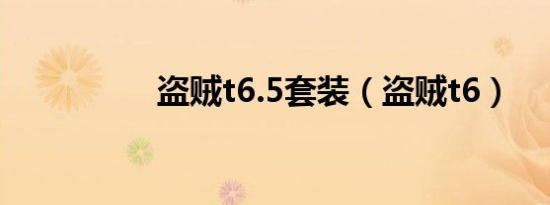 盗贼t6.5套装（盗贼t6）