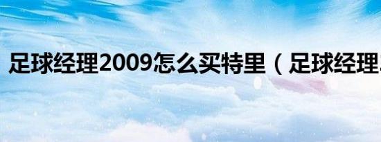 足球经理2009怎么买特里（足球经理2009）