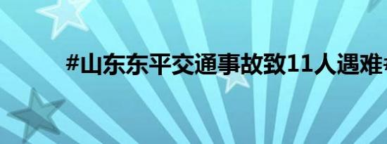 #山东东平交通事故致11人遇难#