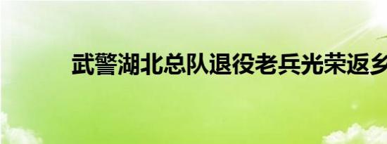 武警湖北总队退役老兵光荣返乡