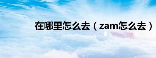 在哪里怎么去（zam怎么去）