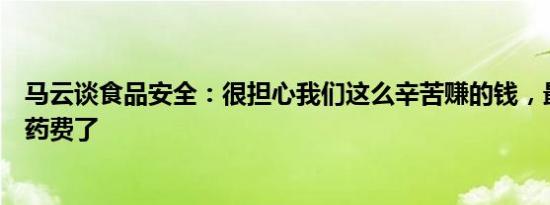 马云谈食品安全：很担心我们这么辛苦赚的钱，最后全成医药费了