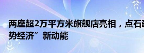 两座超2万平方米旗舰店亮相，点石蕴蓄“逆势经济”新动能