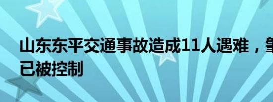 山东东平交通事故造成11人遇难，肇事司机已被控制