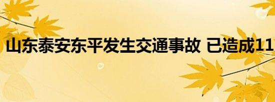 山东泰安东平发生交通事故 已造成11人死亡