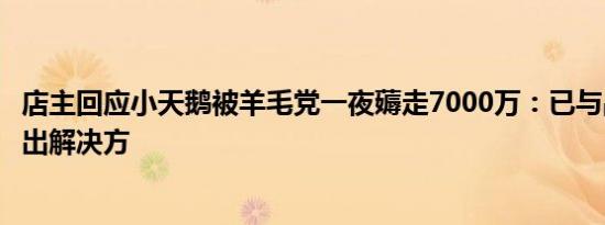 店主回应小天鹅被羊毛党一夜薅走7000万：已与品牌方协商出解决方