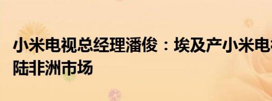 小米电视总经理潘俊：埃及产小米电视即将登陆非洲市场