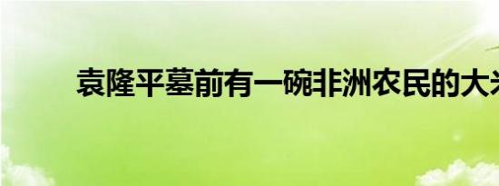 袁隆平墓前有一碗非洲农民的大米