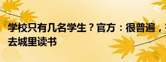 学校只有几名学生？官方：很普遍，有条件都去城里读书