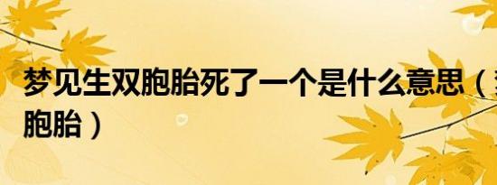 梦见生双胞胎死了一个是什么意思（梦见生双胞胎）