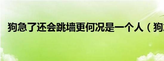 狗急了还会跳墙更何况是一个人（狗急了）