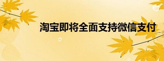 淘宝即将全面支持微信支付