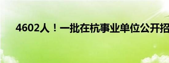 4602人！一批在杭事业单位公开招聘！